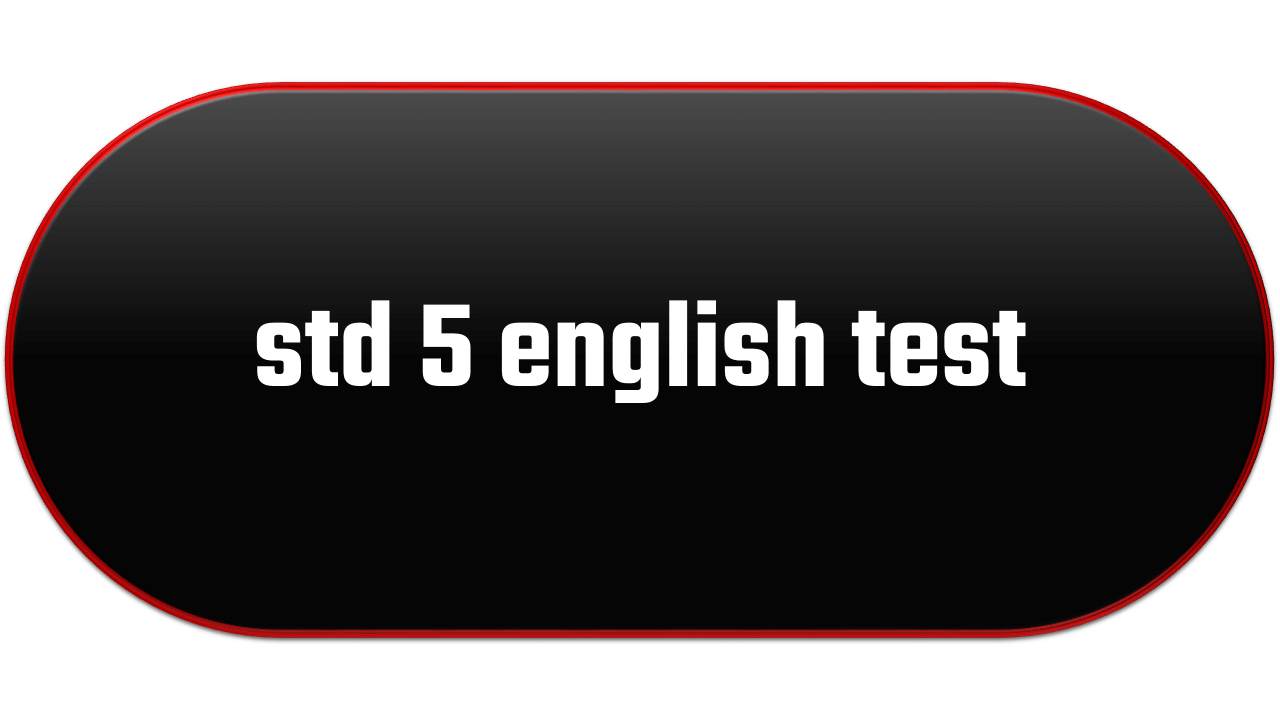 std 5 english test