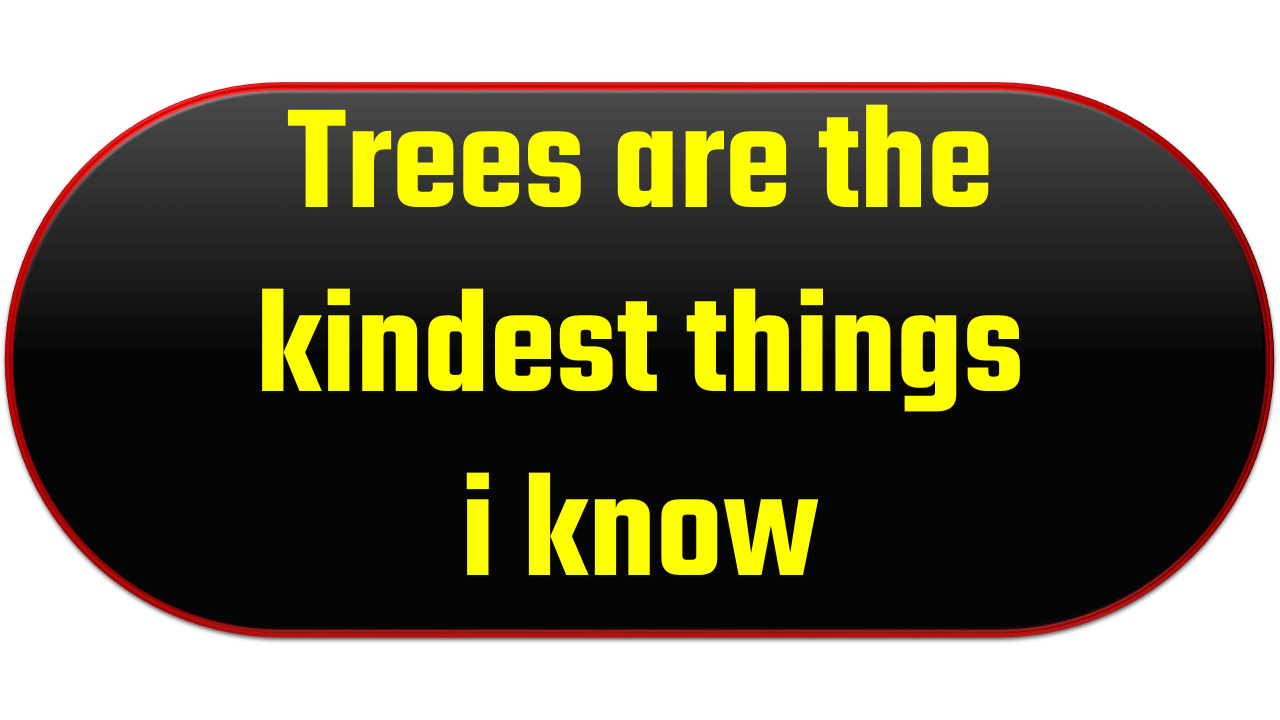 Trees are the kindest things i know