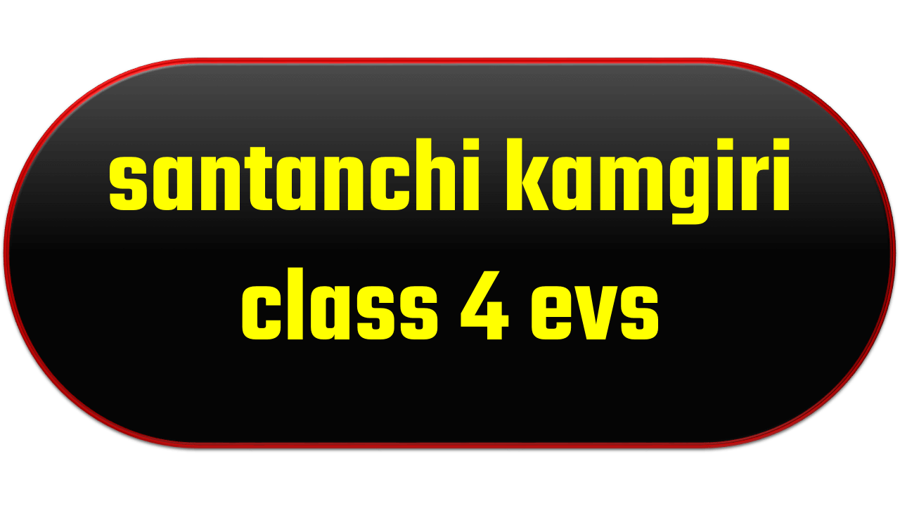 santanchi kamgiri class 4 evs