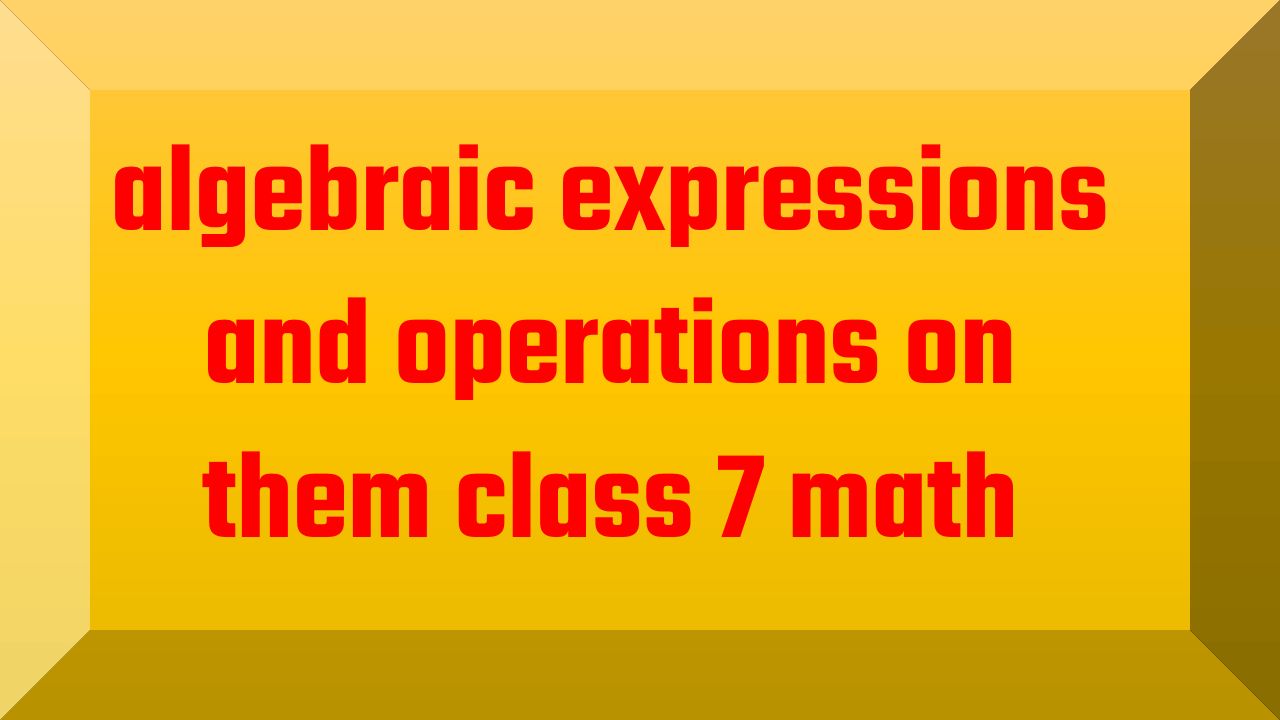 algebraic expressions and operations on them class 7 math