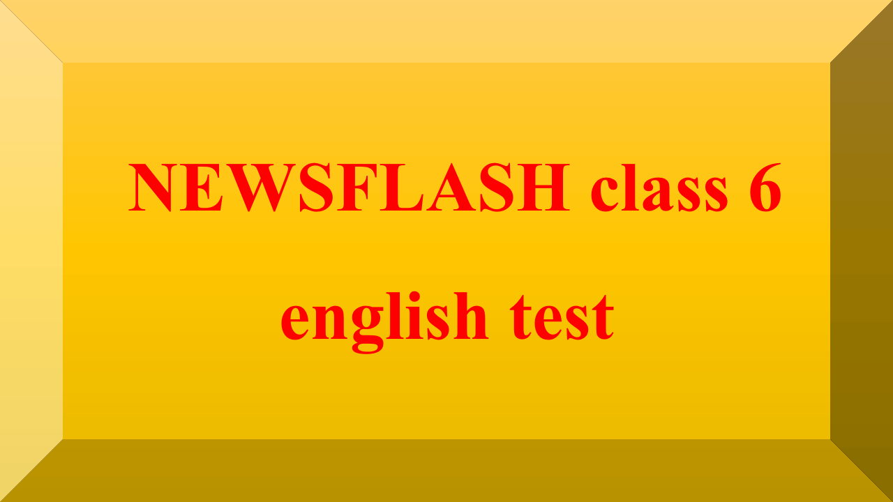 NEWSFLASH class 6 english test