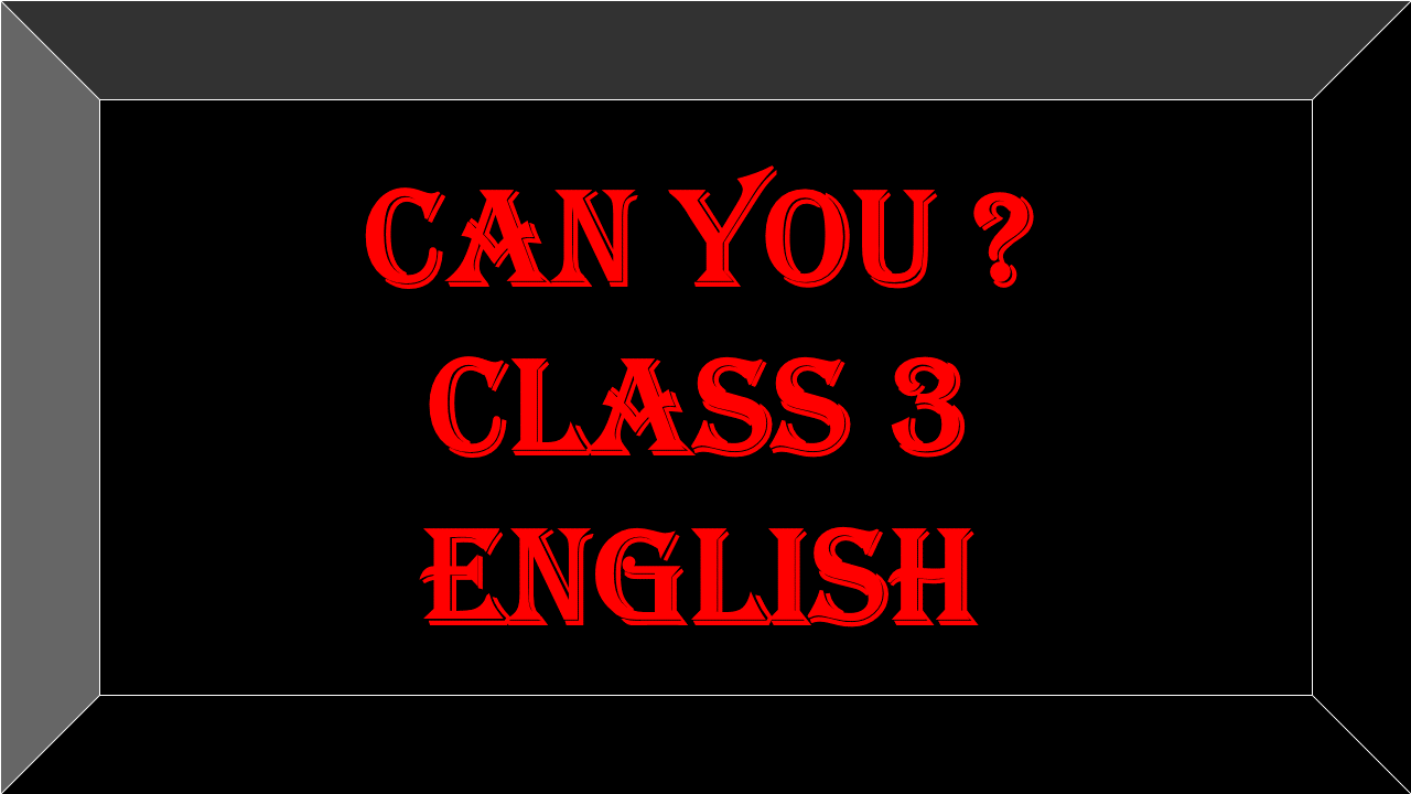 can you ? class 3 english