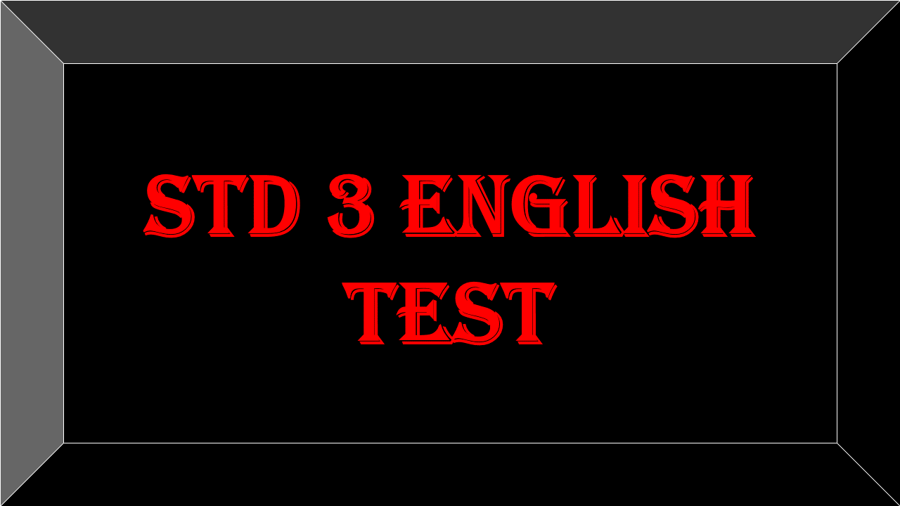 std 3 english test