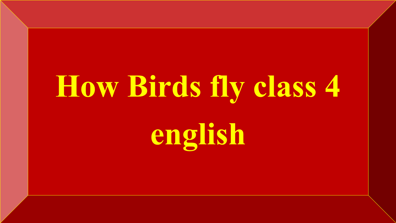 How Birds fly class 4 english