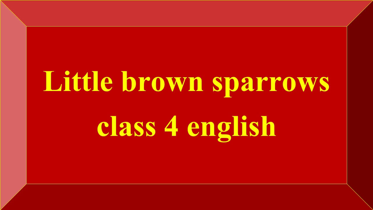 Little brown sparrows class 4 english test