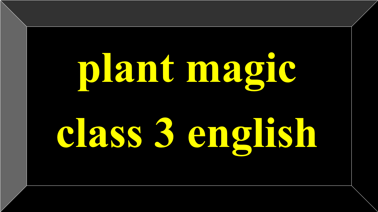 plant magic class 3 english