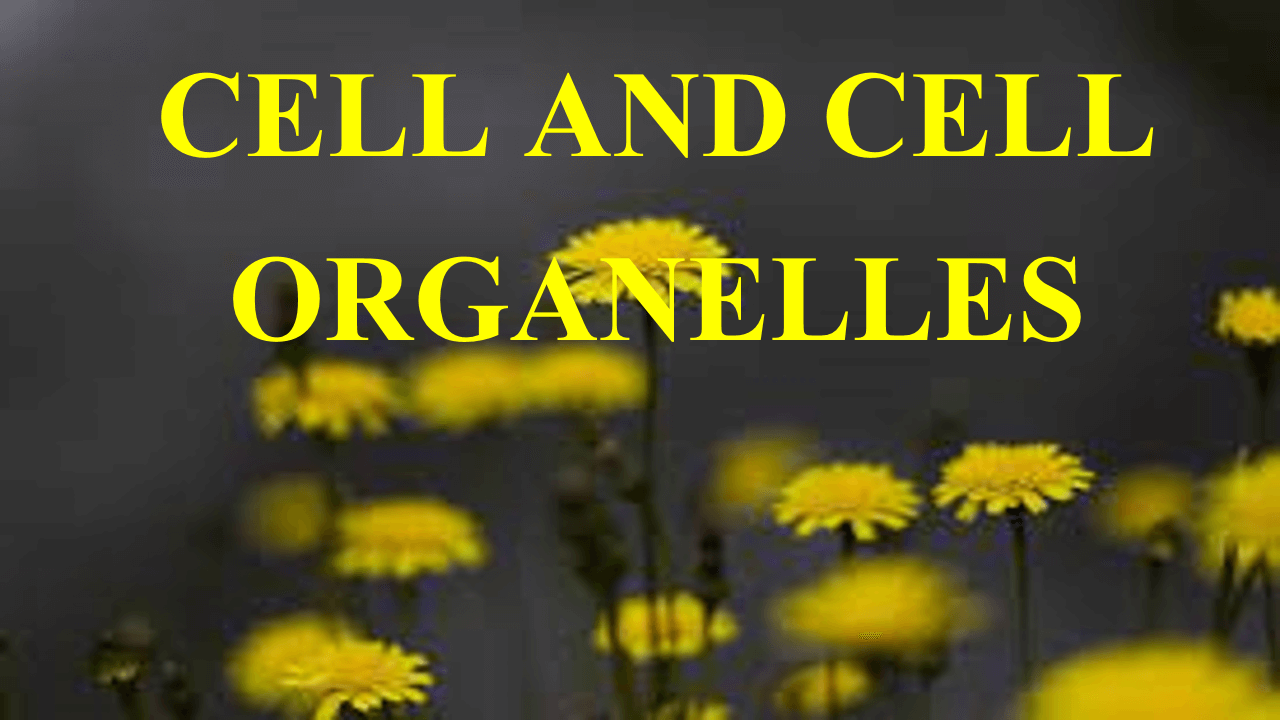 CELL AND CELL ORGANELLES