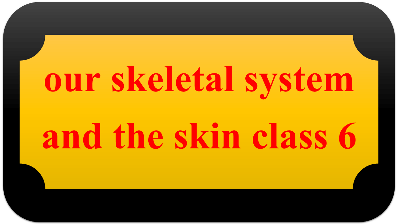 our skeletal system and the skin class 6
